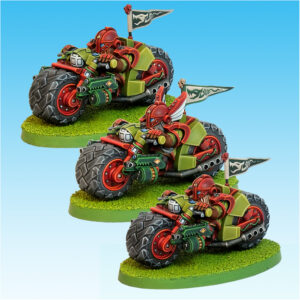 Týrstorm Biker Squadron